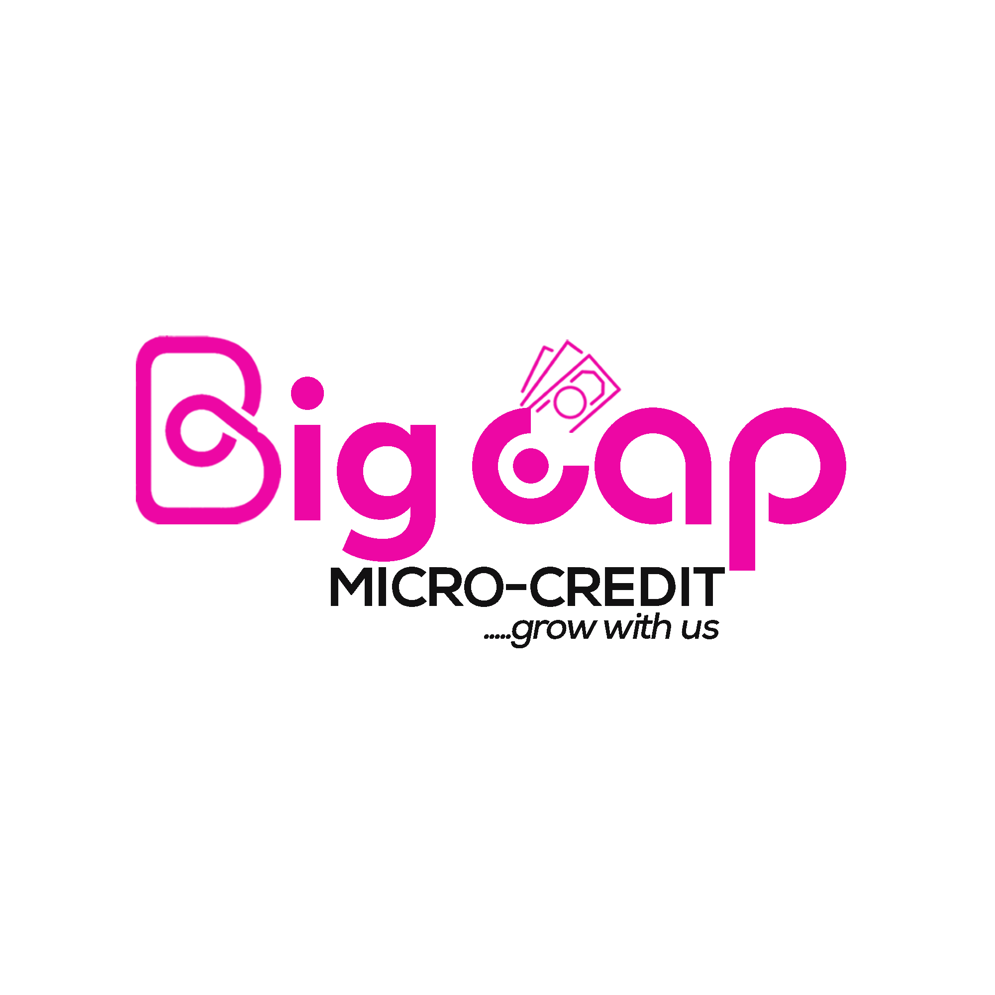 BIG CAP MICRO CREDIT ENT